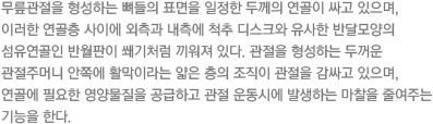 무릎관절을 형성하는 뼈들의 표면을 일정한 두께의 연골이 싸고 있으며, 이러한 연골층 사이에 외측과 내측에 척추 디스크와 유사한 반달모양의 섬유연골인 반월판이 쐐기처럼 끼워져 있다. 관절을 형성하는 두꺼운 관절주머니 안쪽에 활막이라는 얇은 층의 조직이 관절을 감싸고 있으며, 연골에 필요한 영양물질을 공급하고 관절 운동시에 발생하는 마찰을 줄여주는 기능을 한다.